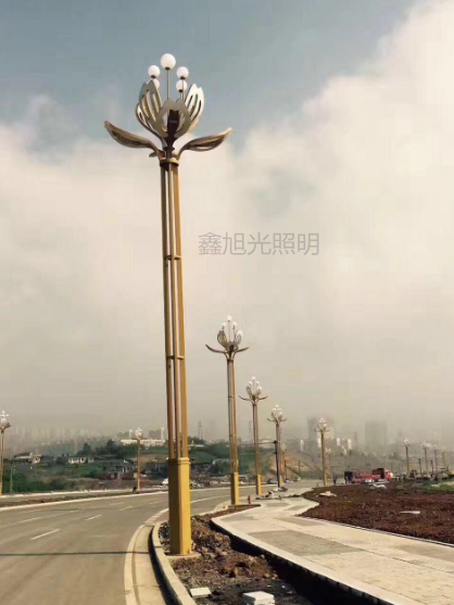 XXG-LEDYLD玉兰灯012