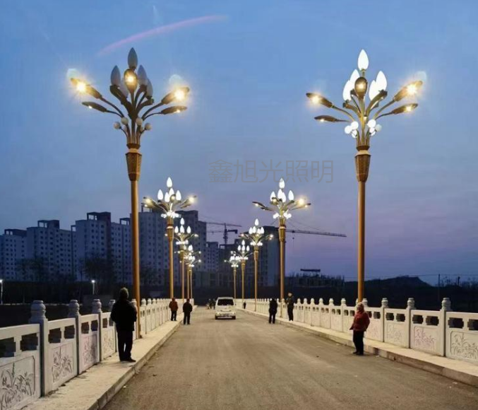 XXG-LEDYLD玉兰灯013